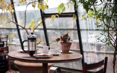 Sân vườn & Cà phê